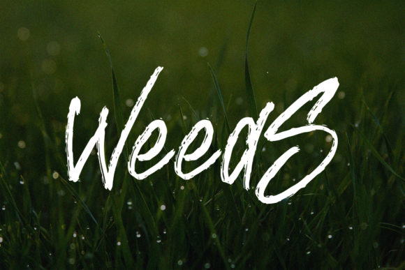 Breaking Rule Font PNG with transparent background - Preview 4