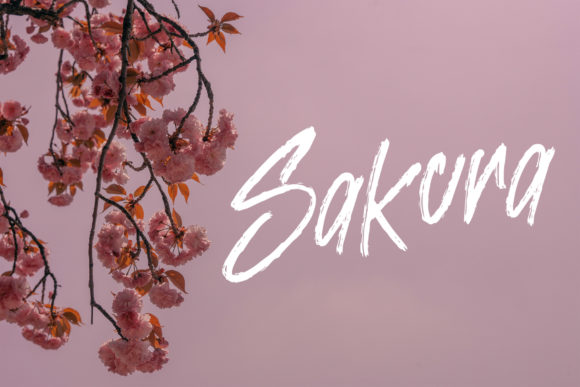 Breaking Rule Font PNG with transparent background - Preview 5
