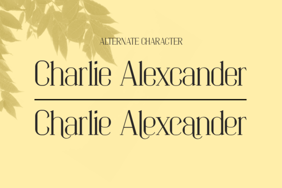 Changdu Font - Preview 1