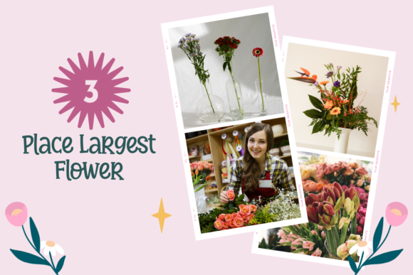 Classy Flowers Font - Preview 4