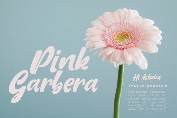 Hi Ashoka Font PNG with transparent background - Preview 2