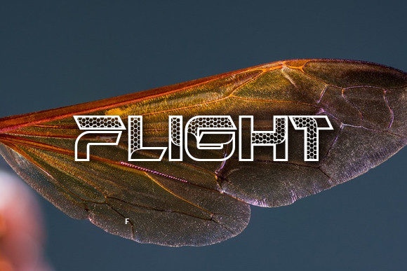 Hornets Font PNG with transparent background - Preview 2