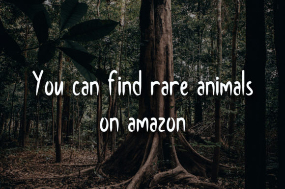 Amazon Font - Preview 1