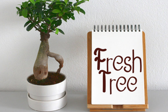 California Font - Preview 1