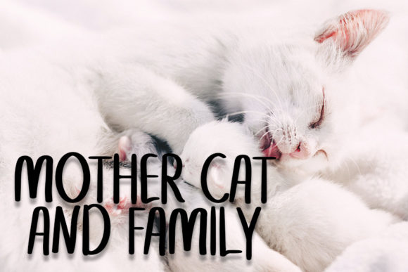 Hello Cat Font - Preview 1