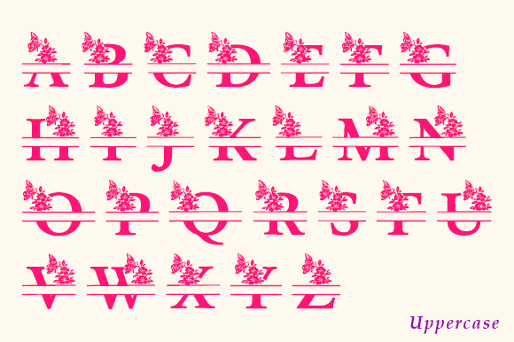 Hibiscus Flower Monogram Font - Preview 4