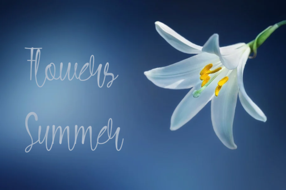 July Summer Font PNG with transparent background - Preview 2
