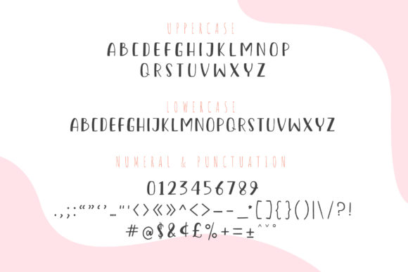 Raynam Sonary Font PNG with transparent background - Preview 2