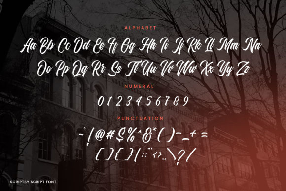 Scriptsy Font PNG with transparent background - Preview 5