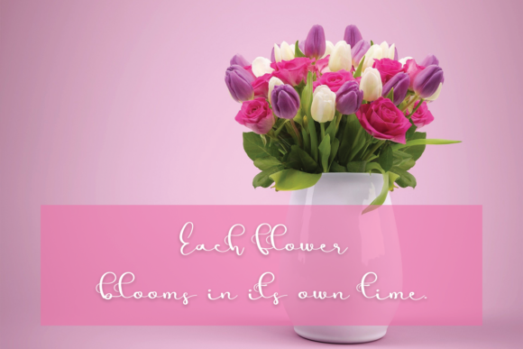 Simple Fits Font PNG with transparent background - Preview 3