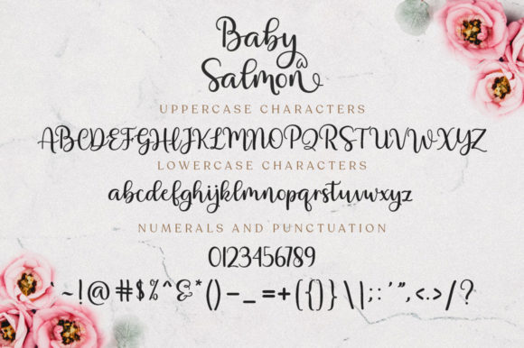 Baby Salmon Script Font - Preview 6