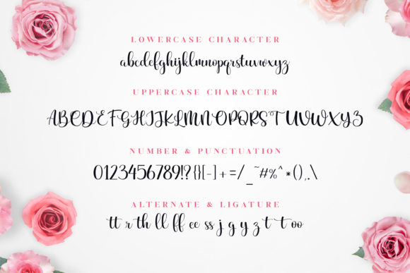 Beauty and Elegant Font - Preview 3