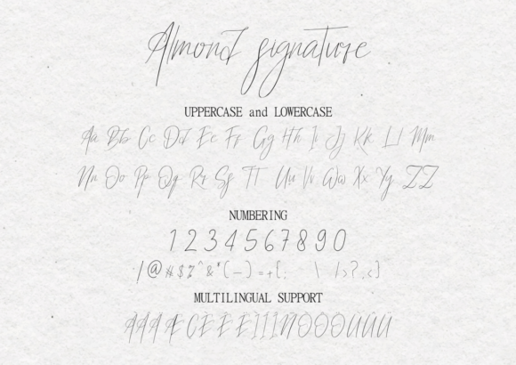 Almond Signature Font - Preview 6