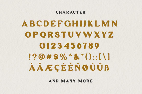 Anderlacht Font - Preview 3