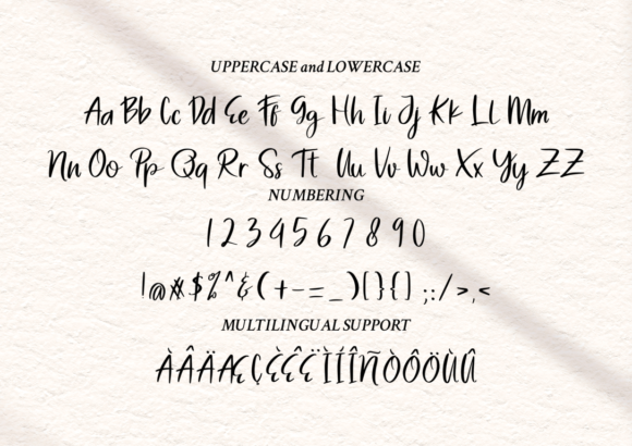 Both Bottle Font PNG with transparent background - Preview 3