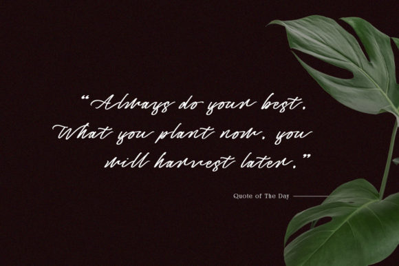 Captivate Script Font - Preview 1