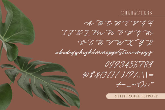 Captivate Script Font - Preview 5