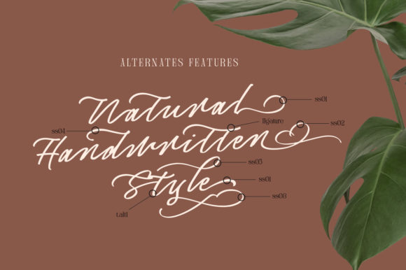 Captivate Script Font - Preview 6