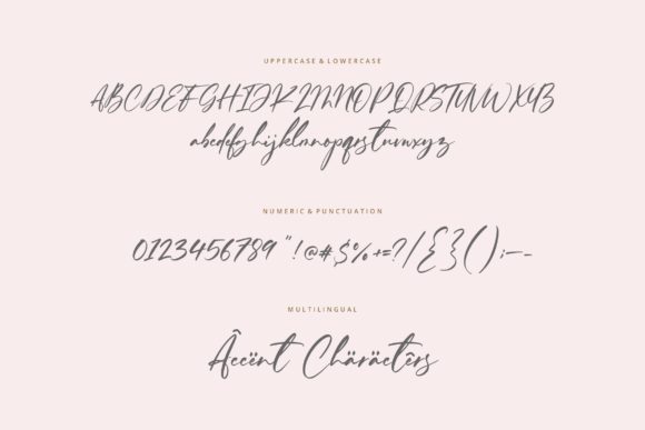 Ferguson Hunter Font - Preview 5