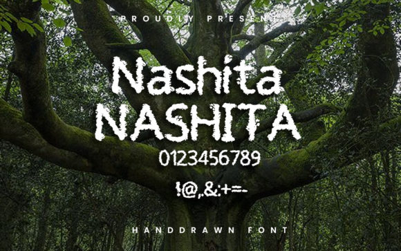 Nashita Font PNG with transparent background - Preview 1
