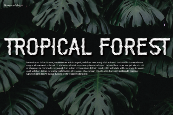 Rose Thorn Font PNG with transparent background - Preview 2