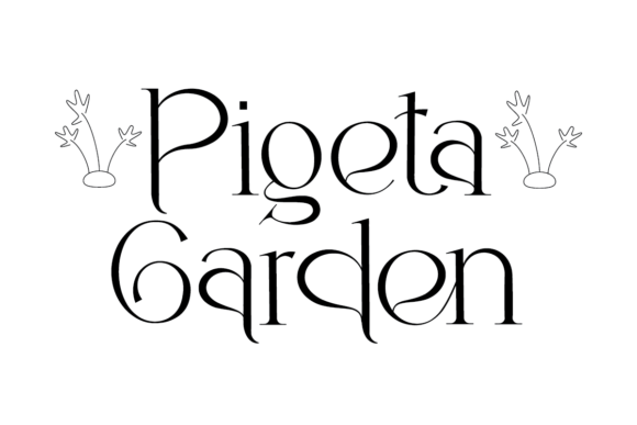 Benaya Font - Preview 1