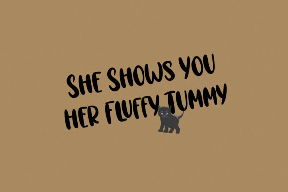 Blakecats Font - Preview 2