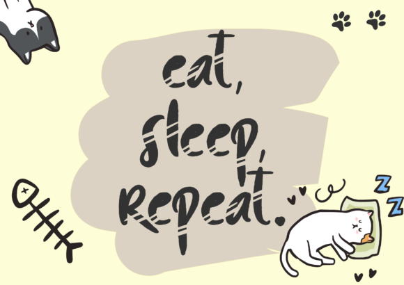 Cat Mark Font - Preview 5