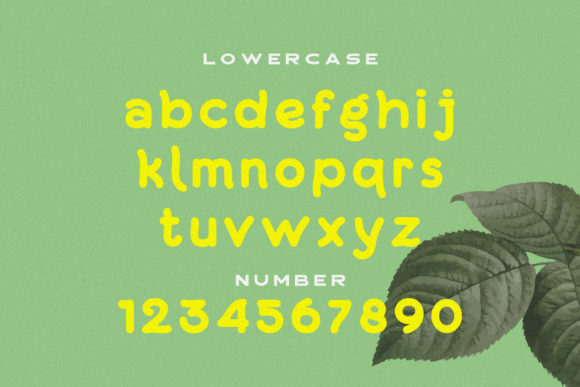 Agola Font - Preview 4