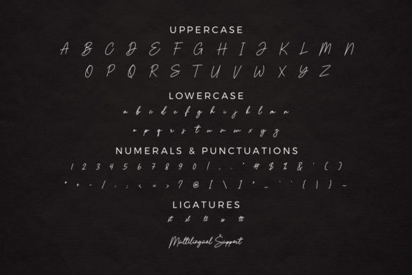 Brilanys Signature Font - Preview 5
