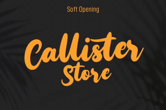 Callways Script Font - Preview 6