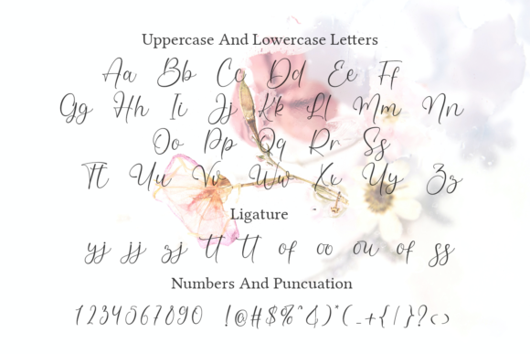 Callistha Font - Preview 3