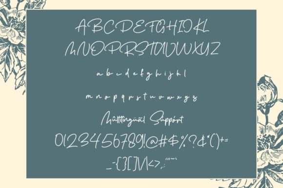 De Orleans Font - Preview 4