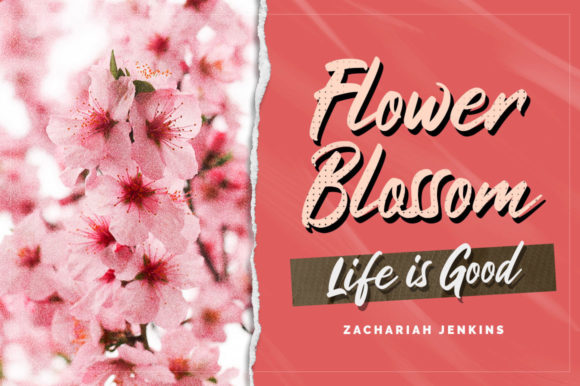 Haritta Script Font - Preview 3