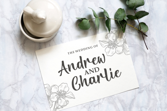 Relight Script Font PNG with transparent background - Preview 3