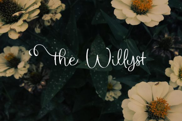 The Willyst Script & Handwritten Font By Greataris