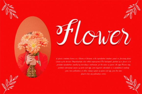 Abeely Belve Font - Preview 6