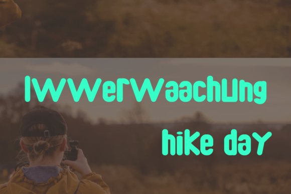 Apixos Font - Preview 4