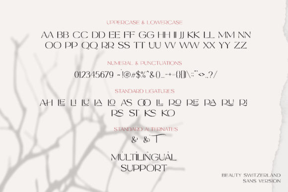 Beauty Switzerland Font - Preview 2