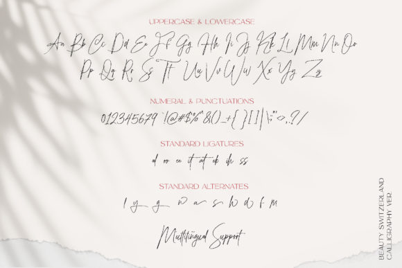 Beauty Switzerland Font - Preview 3