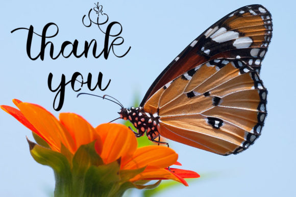 Butterfly Font - Preview 4