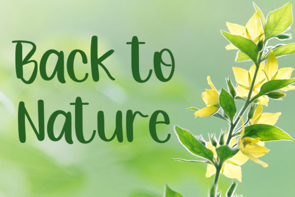 Naturalist Font PNG with transparent background - Preview 1