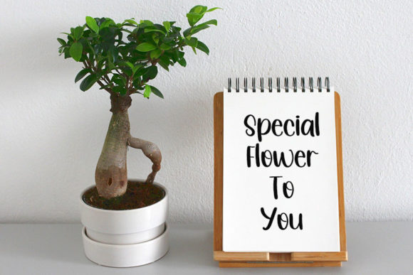 Naturalist Font PNG with transparent background - Preview 4