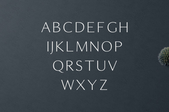 Maleah Font PNG with transparent background - Preview 1