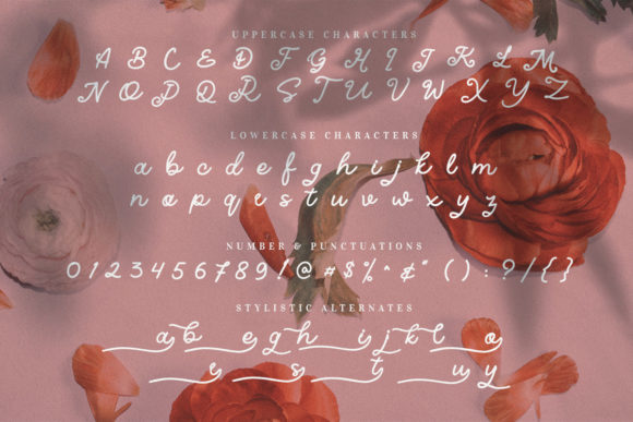 Gianira Font PNG with transparent background - Preview 6