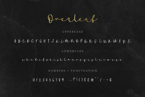 Overleaf Script Font PNG with transparent background - Preview 6