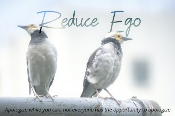 Roksen Font PNG with transparent background - Preview 6