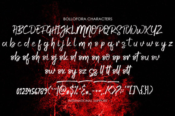 Bollofora Font - Preview 5