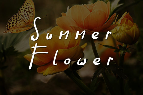 Quick Butterfly Font PNG with transparent background - Preview 1