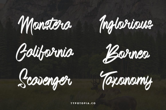 Andals Font - Preview 2
